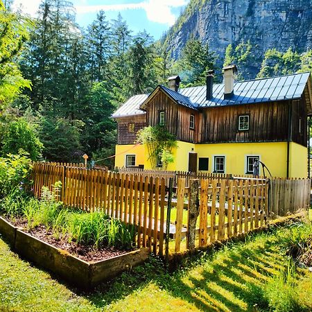 Haus Waldbach Villa Hallstatt Exteriör bild