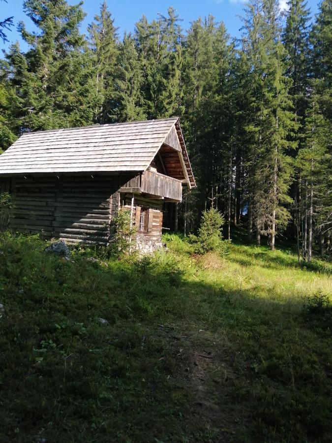 Haus Waldbach Villa Hallstatt Exteriör bild
