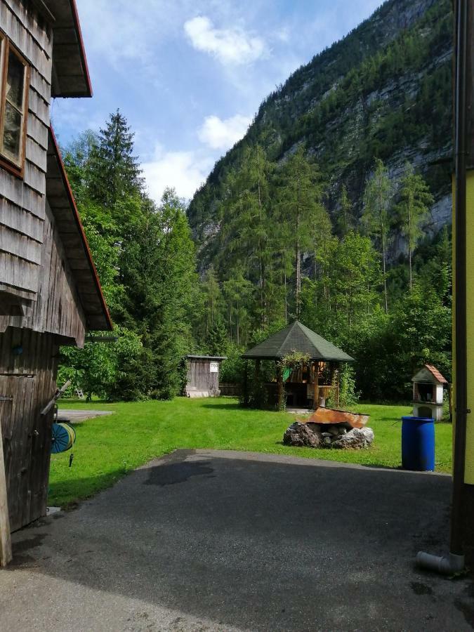 Haus Waldbach Villa Hallstatt Exteriör bild