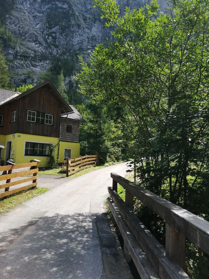 Haus Waldbach Villa Hallstatt Exteriör bild