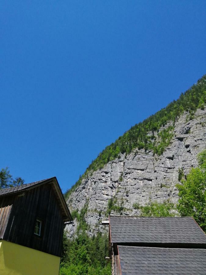Haus Waldbach Villa Hallstatt Exteriör bild