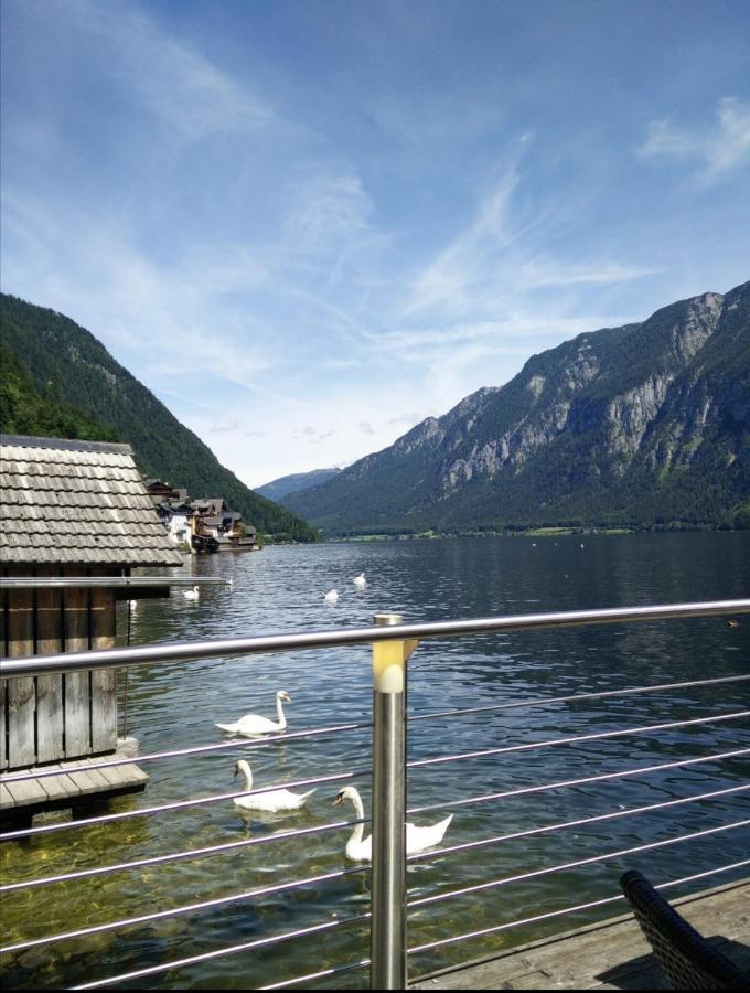 Haus Waldbach Villa Hallstatt Exteriör bild